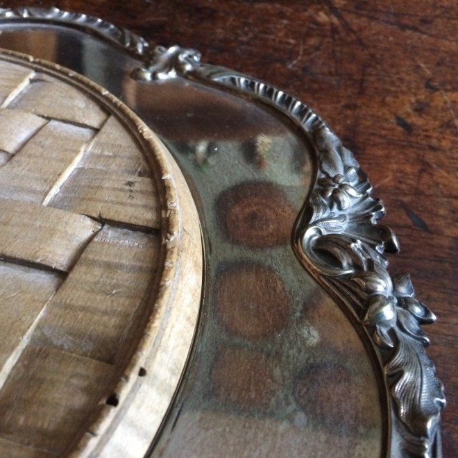 victoria deborah pomeranian